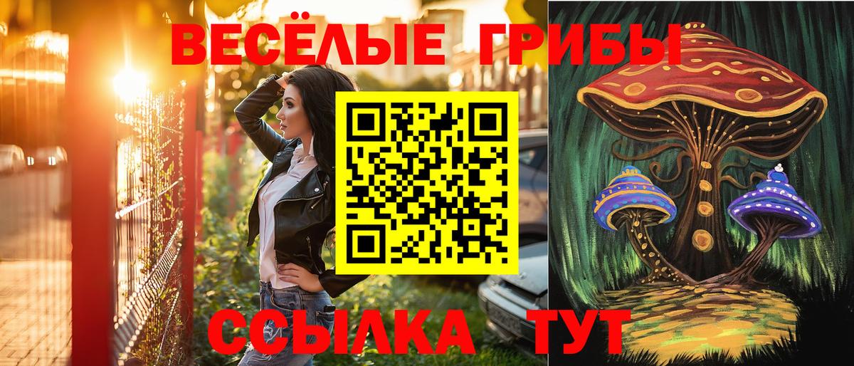 Галлюциногенные грибы мухоморы Нефтекумск